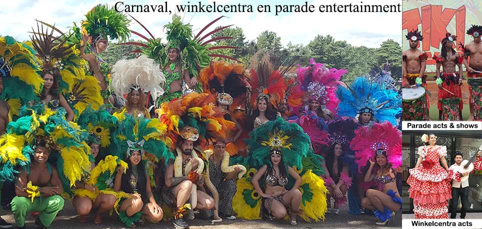 Carnaval Kostuum Ontwerp